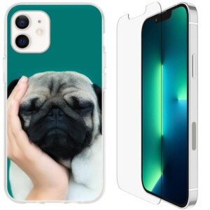Coque iPhone 12 mini bouledogue avec verre trempe 2