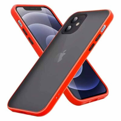 Coque iPhone 13 Pro antichoc Rigide Givré