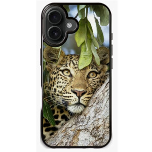 Coque iPhone 17 léopard majestueux